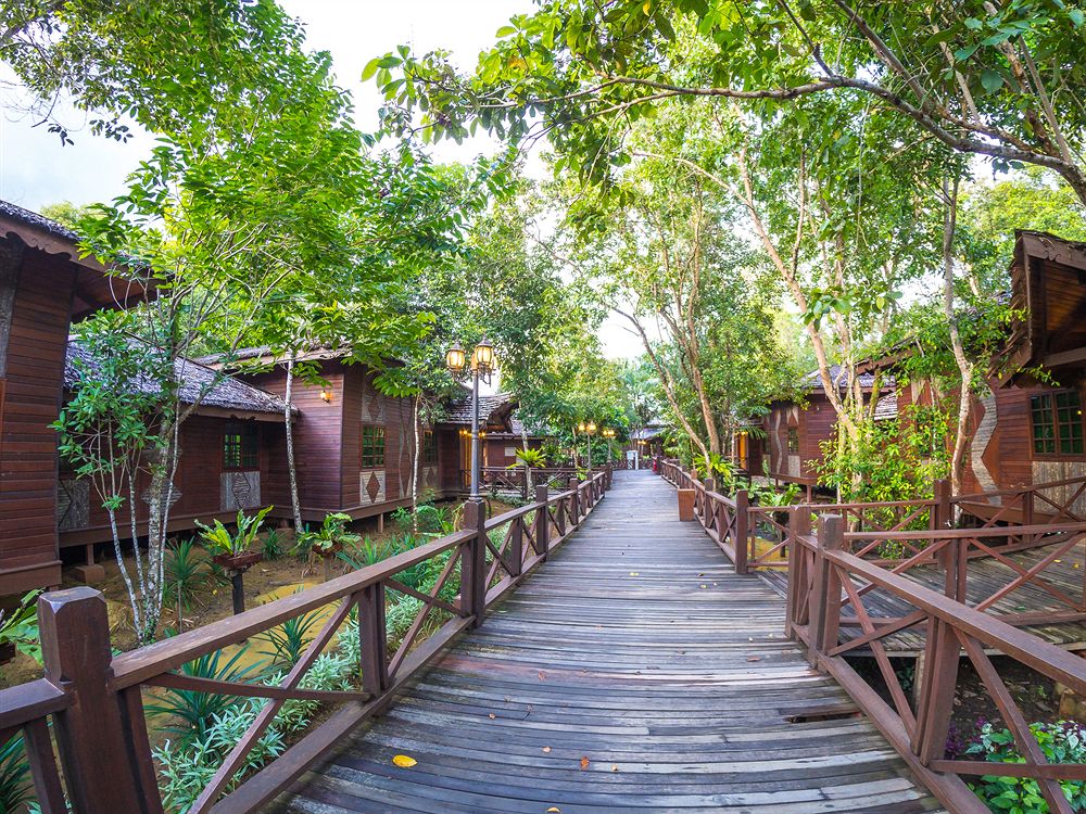 attraction-Mangrove Forest Koh Kong 1.jpg